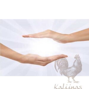 SESIÓN LIMPIEZA ENERGÉTICA