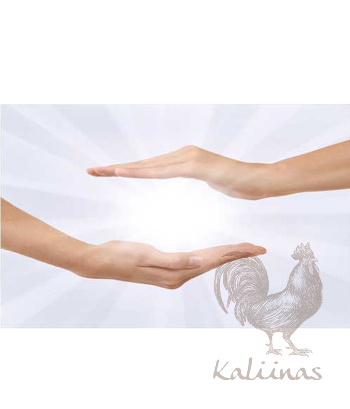 SESIÓN LIMPIEZA ENERGÉTICA